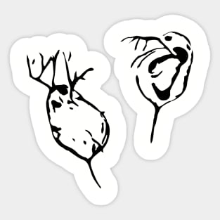 Daphnia spec. (Crustacea) Sticker